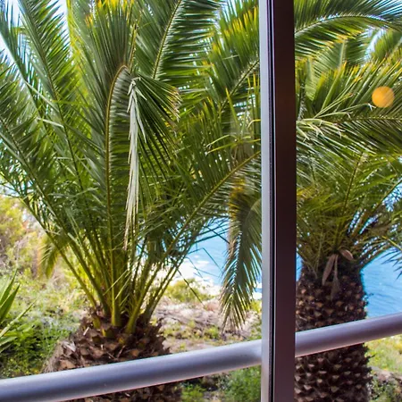 Casa Mara Tenerife Couette-café Las Cruces (Canary)